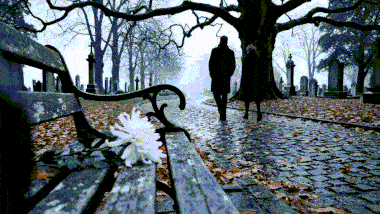 Necrologuri prezentare